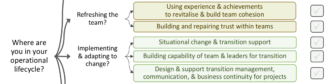 Decision tree for local leaders - Organisational development for teams